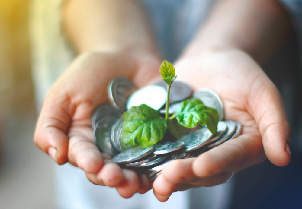 How Enterprise Development Grant (EDG) Help Small Businesses Digitize and Grow